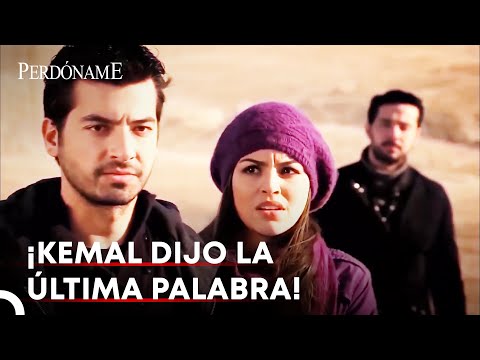 ¡Dejarás Bahar En Paz Berat! | Perdóname