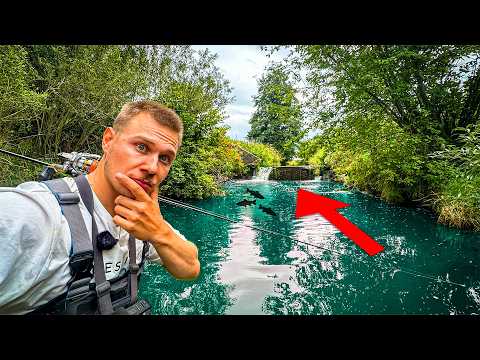 Was lebt an diesem Naturwehr mitten im Nirgendwo?