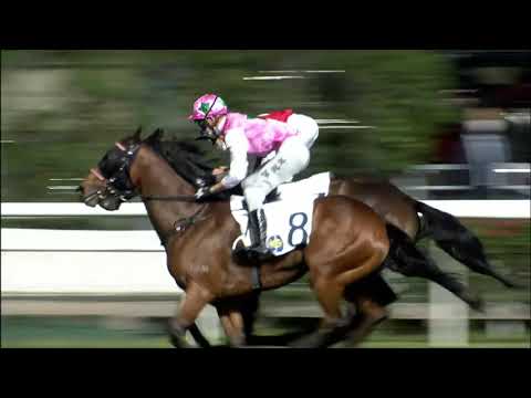 2/3/2022 (463) Red Majesty - Keith Yeung