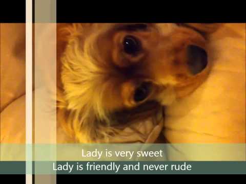 My dog, Lady ( Poem )