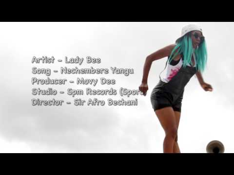 Chembere yangu Zimbabwe ladybee