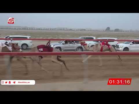 ش 5 (الحاكمه) لـ محمد سهيل بالغبشي الشريفي 2:56 ، شارة الصندوق 2026/08/24 فطامين سويحان