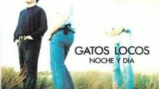 NOCHE Y DIA (Gatos Locos)