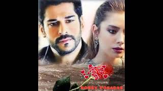 NO SE VIVIR SIN TI 💔 LOS TEMERARIOS