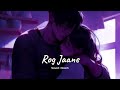 Rog Jaane (slowed + reverb)- Palak Muchchal & Rahat Fateh Ali khan | new song 2023 | KL Lofi