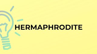 What is the meaning of the word HERMAPHRODITE