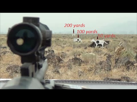 Can you kill a DEER with an AIR RIFLE at 200 yards, the AirForce Texan .457 can!!