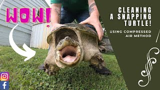 Cleaning/butchering a Snapping Turtle!