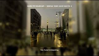 Download lagu qalbi fil madina // sped up ( vocals only english lyrics ) mp3 Download lagu qalbi fil madina // sped up ( vocals only english lyrics ) mp3