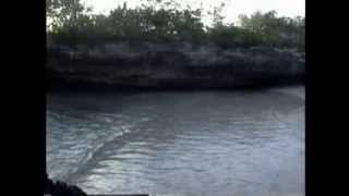 JOE NICHOLS THE SHAPE I&#39;M IN