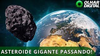 Miniatura do vídeo