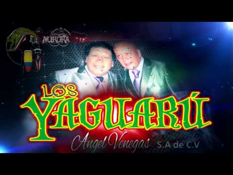 openings PRESENTACION ..VIDEO . GRUPO YAGUARU