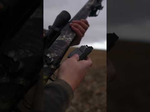 Remington Model 24: Precision Tested – Range Review of a Classic .22 Short