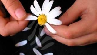 La margarita dijo no- ale sanz