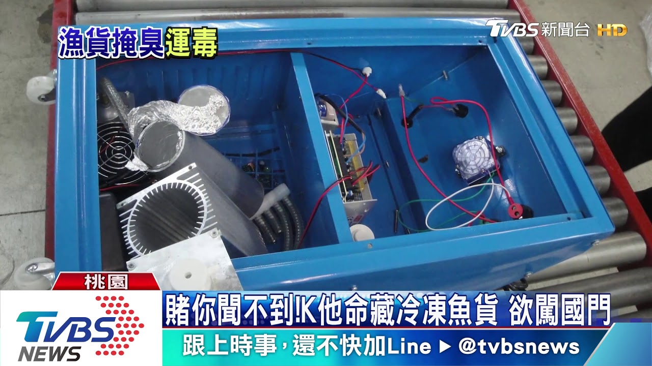 賭你聞不到!K他命藏冷凍魚貨 欲闖國門