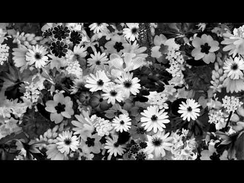 JAHKOY,Fabolous-Exes & Summer Flings