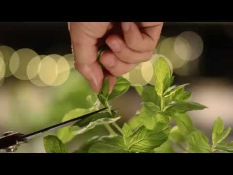 Миниатюра изображения товара Индукционная варочная панель Hansa BHIW68308