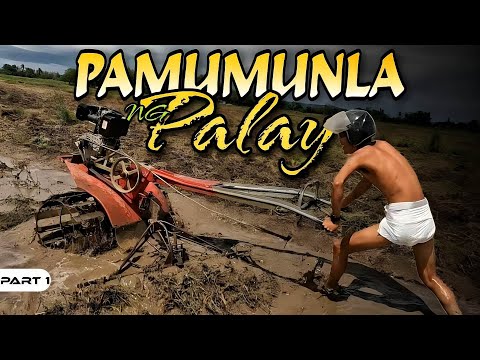 P1-Pamumunla ng Palay - EP1010