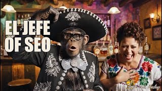 Austin Code Monkey - Video - 2