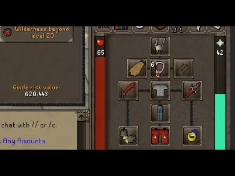 How Profitable is Budget Pking 600k set up at 117 Combat?