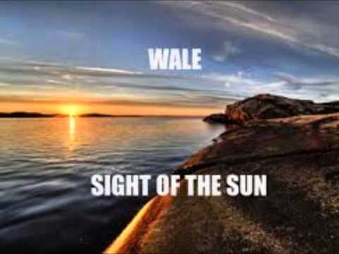 Sight of the Sun - Fun feat. Wale