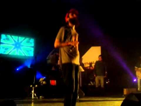 Lengualerta-reverdeciendo