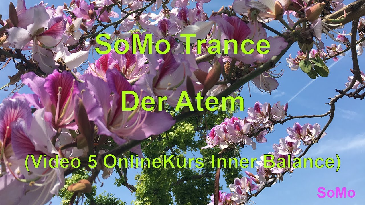 OnlineKurs Inner Balance | Video 5 | SoMo Trance Der Atem