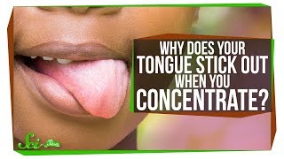 Why Do You Stick Out Your Tongue When You Concentrate?
