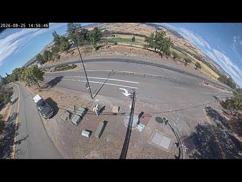 Nd Dot Web Cameras