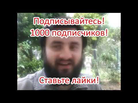 СЕНТ ЛУИС - САН ХОСЕ 2-1---/Прогноз на НХЛ 17.5.2019/Ставки и прогнозы на хоккей