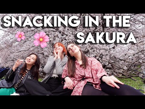 我在東京生活的一天。櫻花和東京創意公司的拍攝？ (A day in my life in Tokyo: Cherry Blossoms and Filming with Tokyo Creative ?)