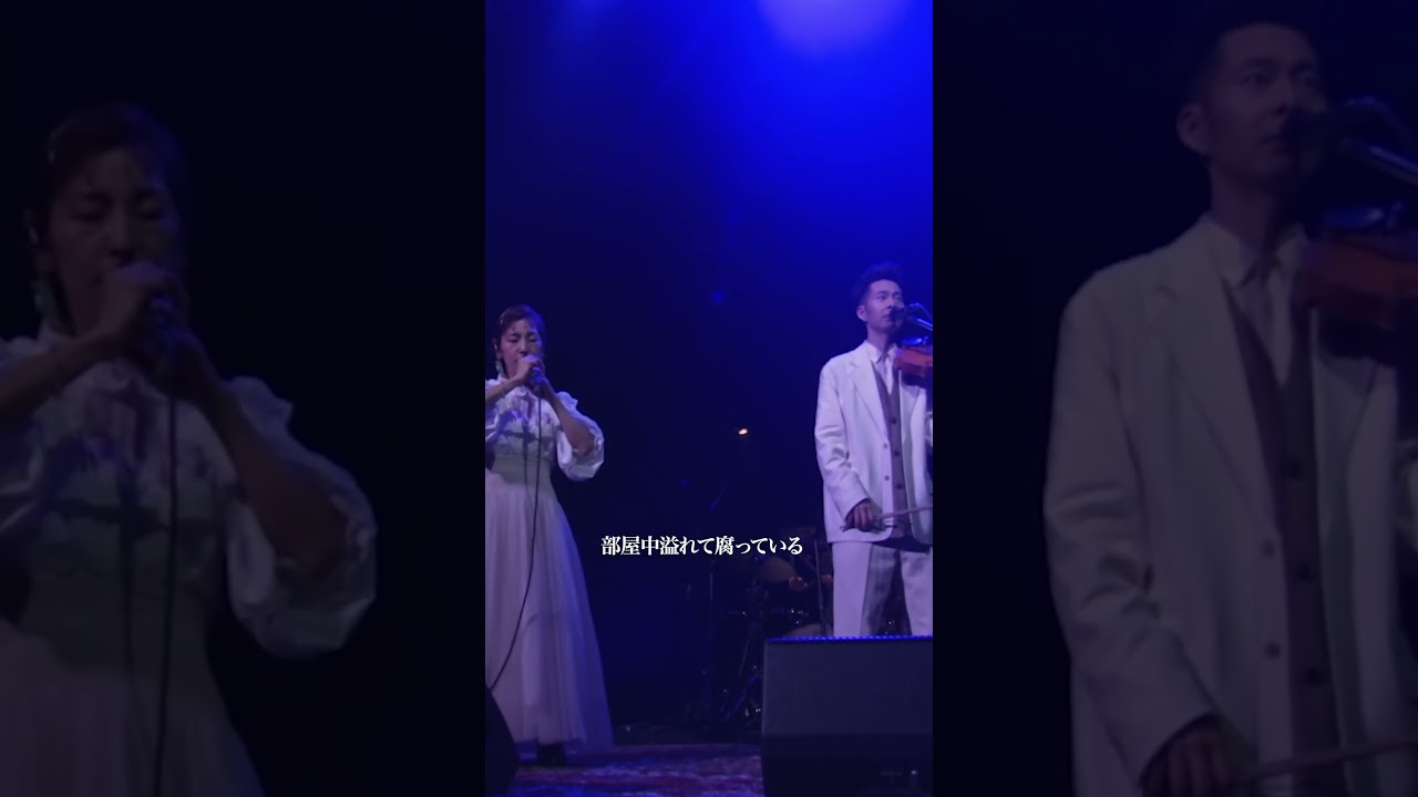 ハンバート ハンバート "虎"（ツアー2025「寝ても覚めても」at 大阪・オリックス劇場）