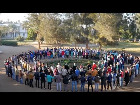 The SEKEM story: A miracle in the desert became reality