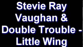 Stevie Ray Vaughan &amp; Double Trouble - Little Wing