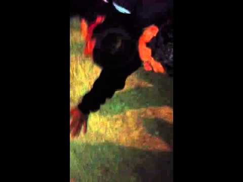 Bulling al sosoloco!!!!!