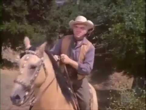 BONANZA   O REI DO GADO