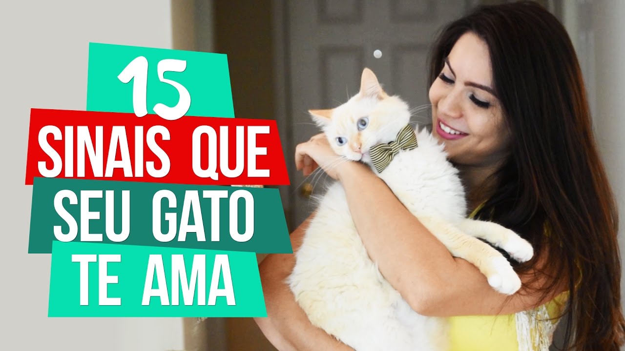 SINAIS QUE SEU GATO TE AMA - Pri Mastrocolla