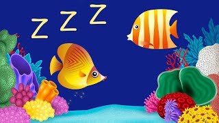 Bedtime Lullabies and Peaceful Fish Animation 2: Baby Lullaby