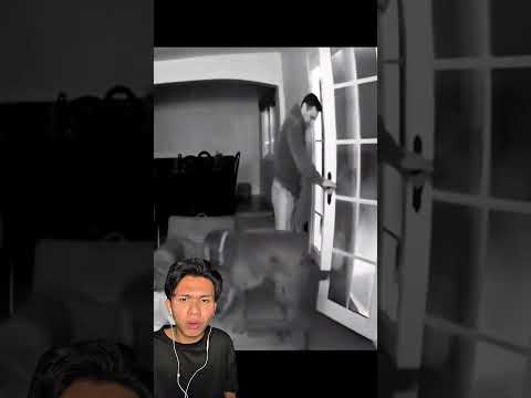นี่คือหมาที่เหลี่ยมที่สุด  #หมา #dog #ตลก #vairalvideo #shortvideo ￼