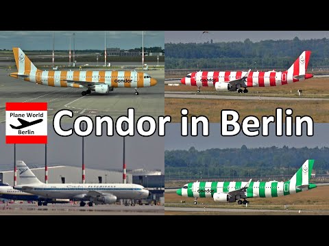Condor at Berlin Brandenburg Airport 2025 // Spezialvideo Ringelsocke