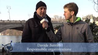 Cimento invernale "Orsi polari"