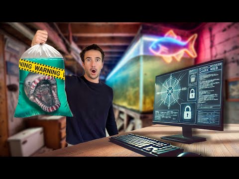 I Bought an Alien Fish...