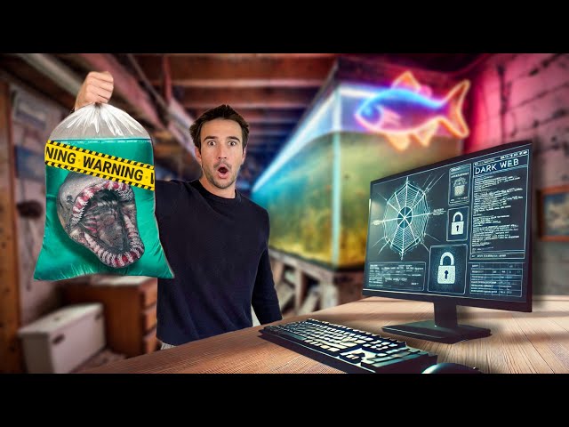 I Bought an Alien Fish...