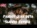 Pande Ji Ka Beta Hoo (Slowed + Reverb) Bhojpuri lofi dance music
