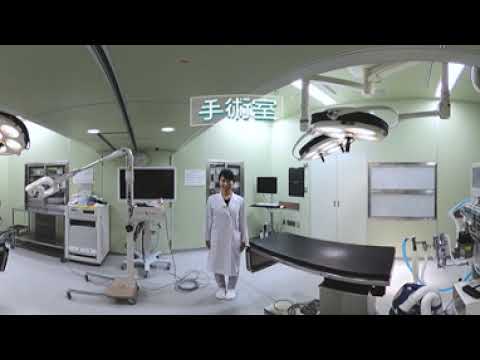 WEB動物病院見学