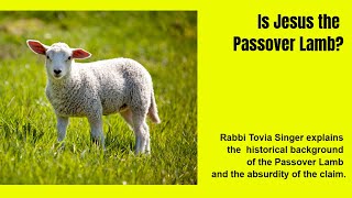 Video: Jesus became the Passover Lamb in John's Gospel, not Mark, Matthew or Luke - Tovia Singer