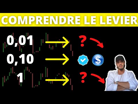 Learn Leverage, Lots, Pips in Trading (Complete Beginner's Trading Guide)