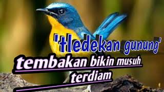 Download lagu burung tledekan gunung gacor mp3