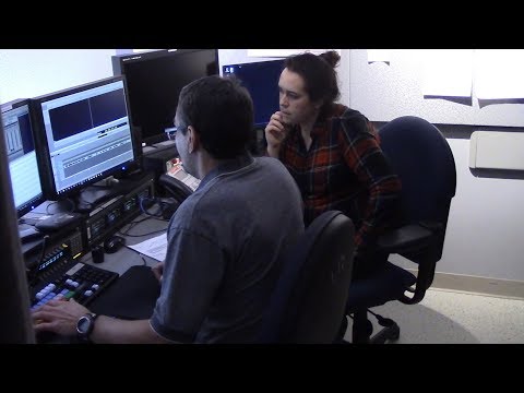 The Woodpecker  What I do for a living