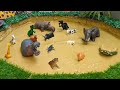 Epic Rescue Mission Giant African Animals Trapped In Mud Unbelievable Moments Caught Live